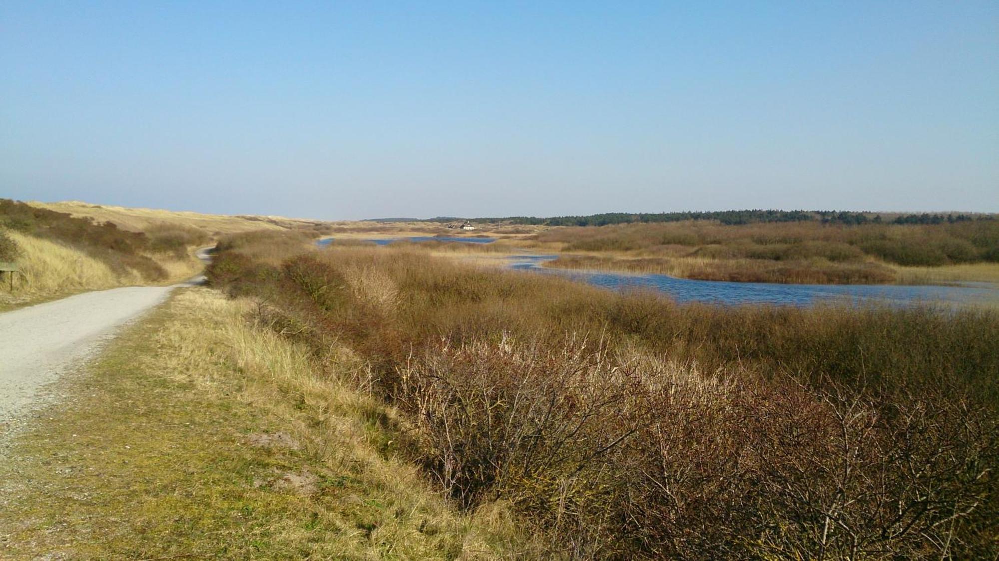 Ballumerhoeve T Pandje * Ballum